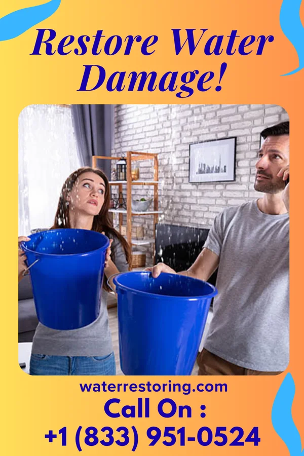 water restoration Best Flood Cleanup Inc Patchogue