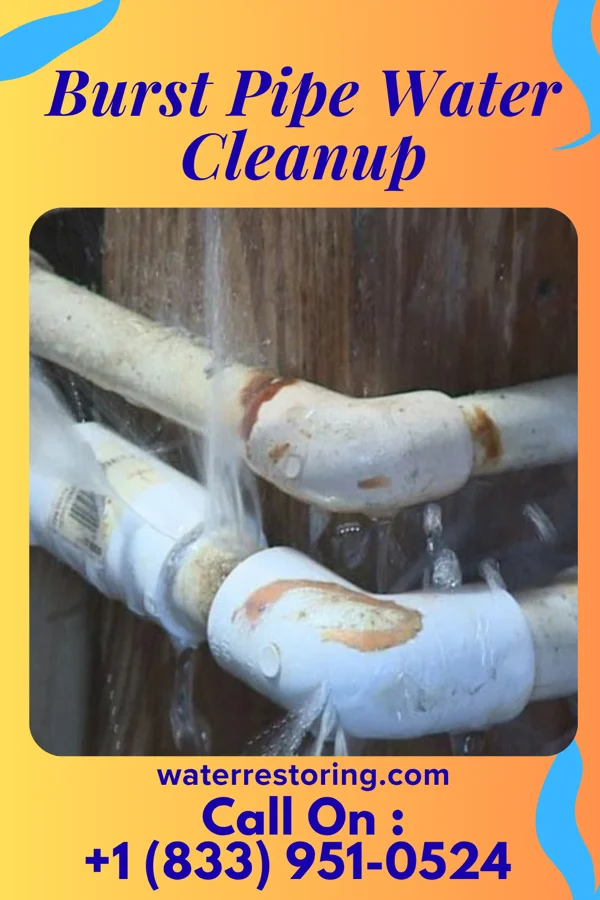 Burst Pipe Water Cleanup in Patchogue, NY