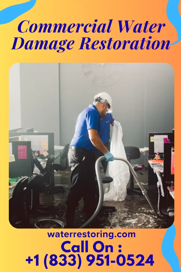 Commercial Water Damage Restoration in Patchogue, NY