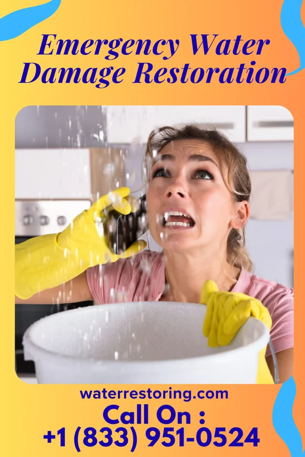 Emergency Water Damage Restoration in Patchogue, NY
