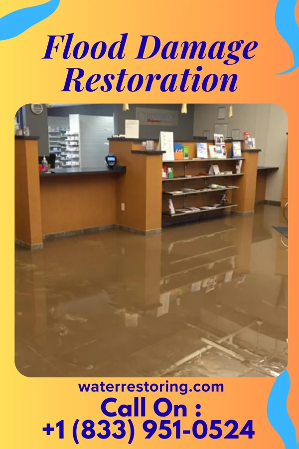 Flood Damage Restoration in Patchogue, NY