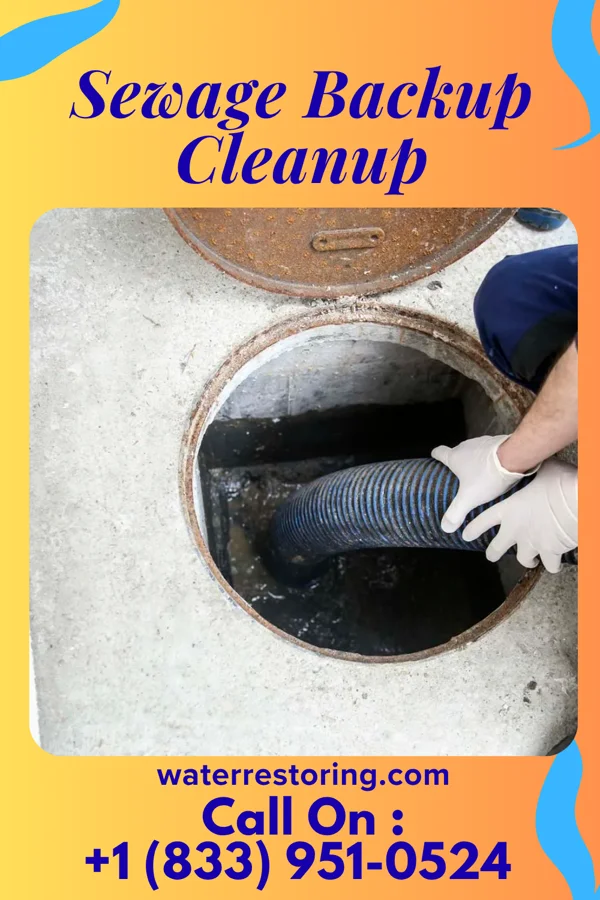 Sewage Backup Cleanup in Patchogue, NY