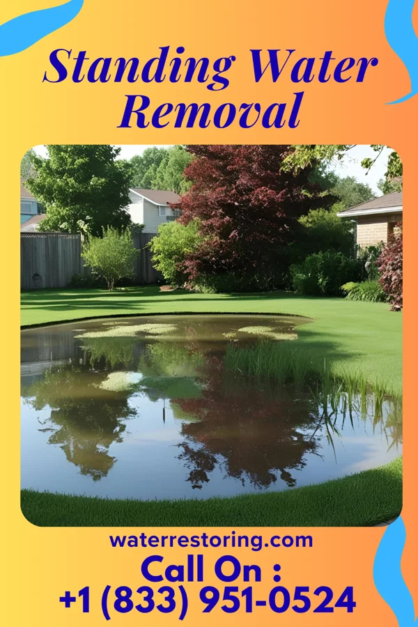 Standing Water Removal in Patchogue, NY